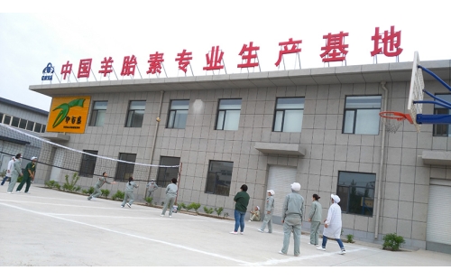 團結合作，快樂迎五一