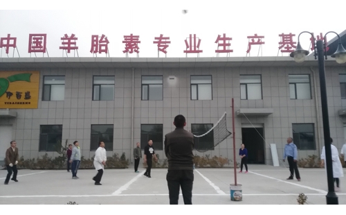 排球傳溫情，員工齊聚心