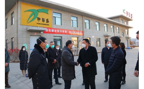 銀川市金鳳區委書記郝春明、區長張濤一行蒞臨銀川伊百盛參觀調研