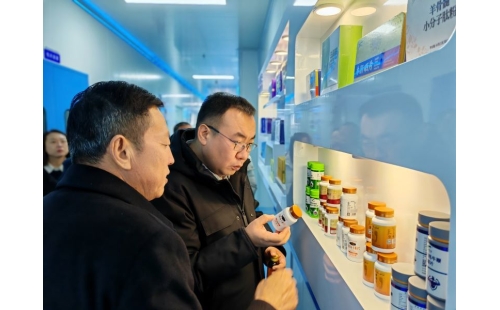 金鳳區(qū)常委、組織部長(zhǎng)杜鈞，副區(qū)長(zhǎng)、公安局長(zhǎng)王占東一行蒞臨企業(yè)參觀調(diào)研