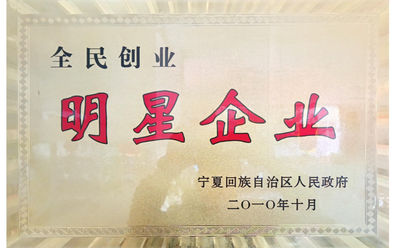 全民創業明星企業